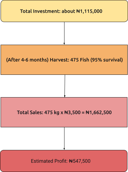 small scale catfish farm startup profit journey